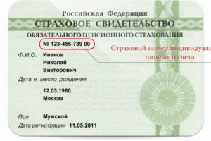 Как узнать снилс по паспорту и инн
