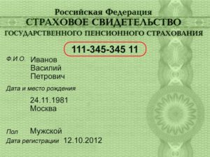 Как узнать снилс по паспорту и инн
