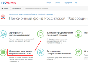 Как получить выписку из пенсионного сведетельства