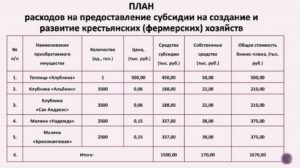 Какие субсидии есть для лпх