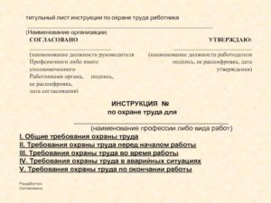 Должностная инструкция титульный лист
