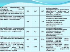 Какие субсидии есть для лпх