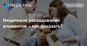 Как доказать нецелевое расходование алиментов