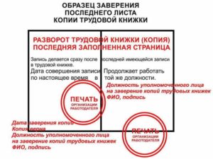 Заверенная копия трудовой книжки сколько действует для консульства