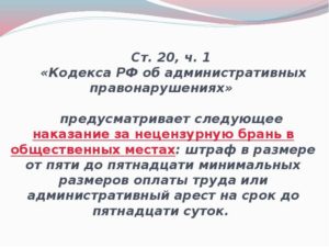 Наказание за нецензурную брань в рф