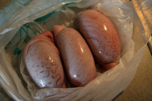 Продажа яиц мужских