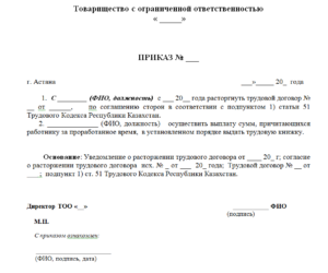 Прикза об увольнении директора рк