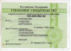 Как узнать снилс по паспорту и инн