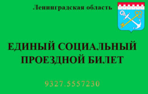 Социальный проездной билет