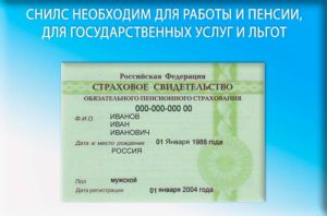 Как узнать снилс по паспорту и инн