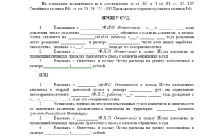 Как доказать нецелевое расходование алиментов