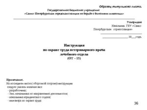 Должностная инструкция титульный лист