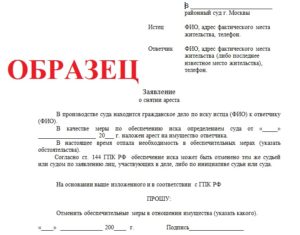 Пример заявления в суд о снятии ограничений на автомобиль