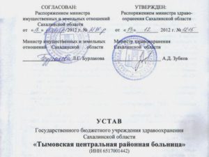 Внесение изменений в устав нко пошаговая инструкция