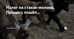Налог на сдачу молока