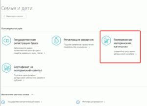 Как проверить остаток материнского капитала
