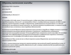 Как правильно написать жалобу на директора предприятия