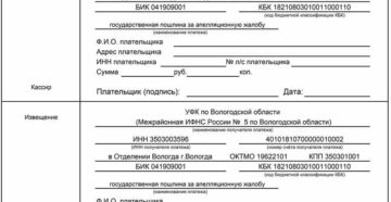 Оплата директором госпошлины по апелляционной жалобе в арбитражный суд Оплата директором госпошлины по апелляционной жалобе в арбитражный суд