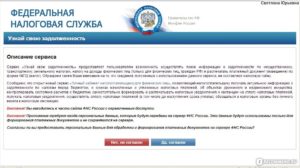 Сведения о индивидуальных предпринимателях имеющих задолженность по уплате налогов
