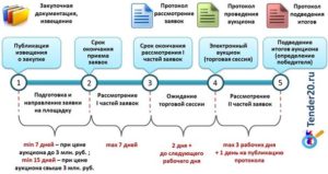 Калькулятор аукционов по 44 фз онлайн