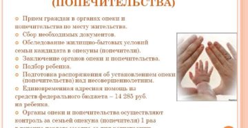Куда обращаться чтобы оформить опеку Куда обращаться чтобы оформить опеку