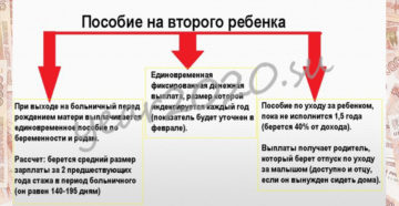 Губернаторские выплаты за первого ребенка в нижегородской области 2020 Губернаторские выплаты за первого ребенка в нижегородской области 2020